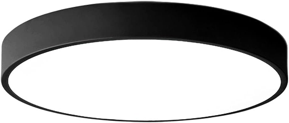 Ceiling Pendant Light , Bathroom Black Flush Ceiling Lights Minimalist Chandeliers Ceiling Light Wrought Iron Creative Circle Ceiling Lamp Slim Flat Ceiling Lights Fixture for Closets Bedroom Stairwel