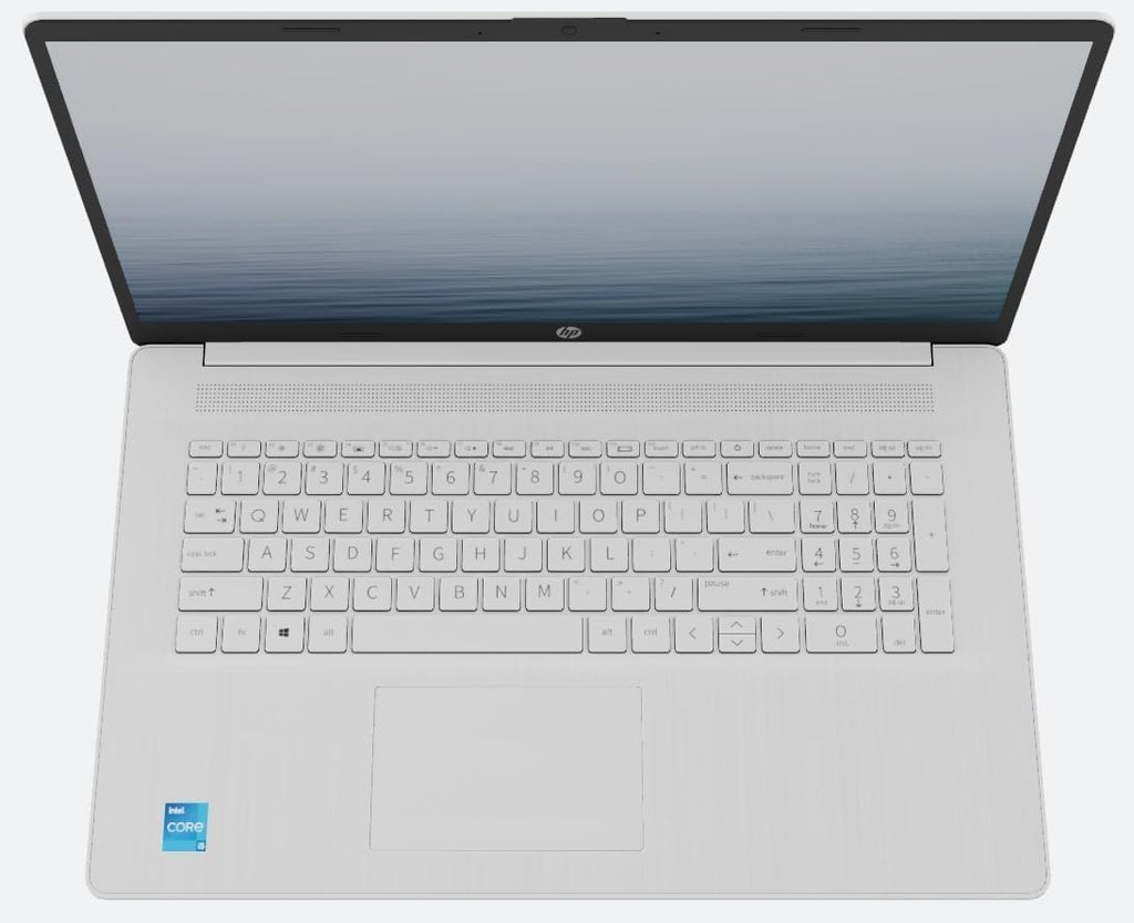HP 17.3 Inch FHD Business Laptop | Fingerprint Reader | AMD Ryzen 5 5500U, 6 Cores Processor | 64GB RAM, 1TB SSD | Windows 11 | Light and Slim | True Vision 720p HD Cam | AMD Radeon Graphics