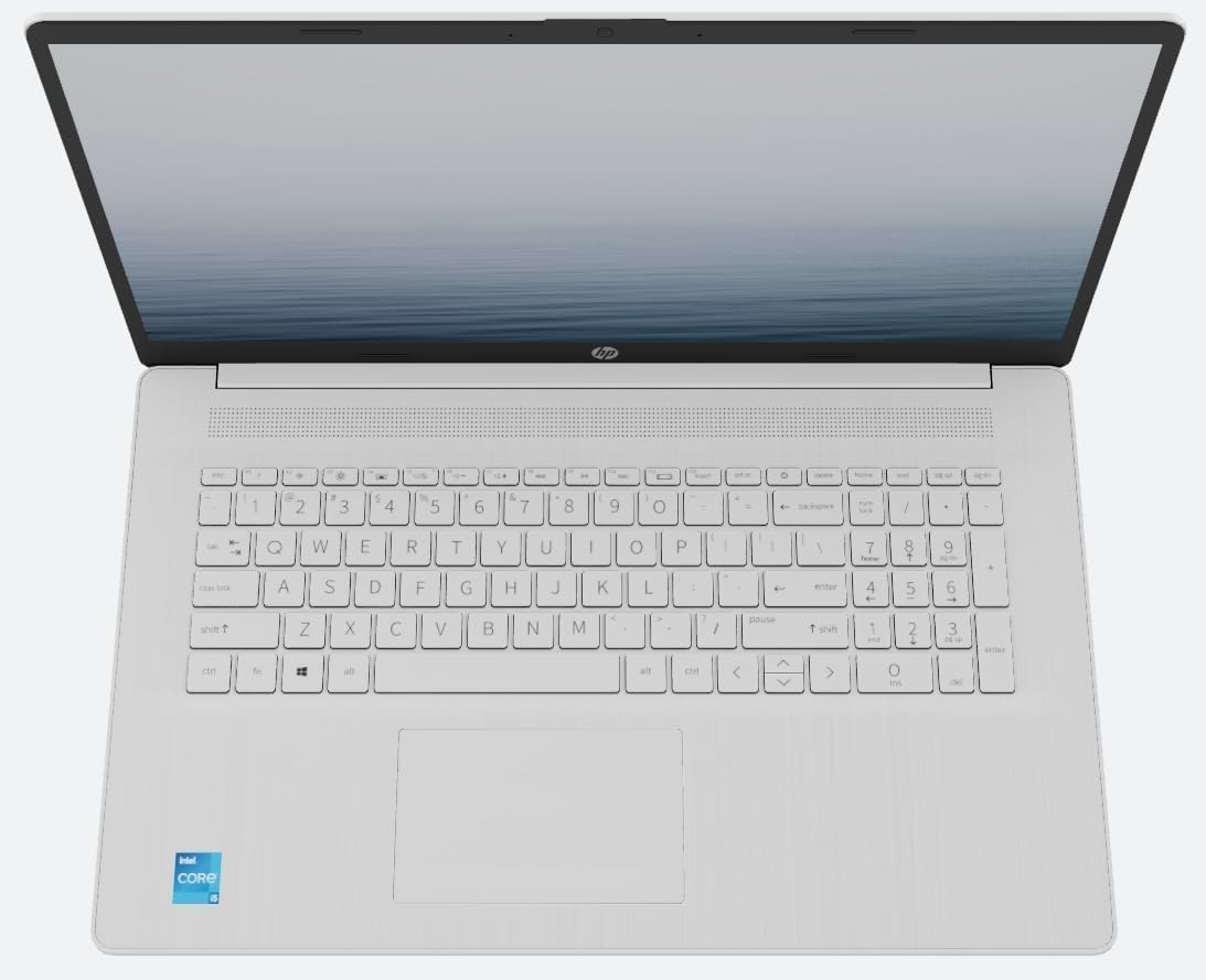 HP 17.3 Inch FHD Business Laptop | Fingerprint Reader | AMD Ryzen 5 5500U, 6 Cores Processor | 64GB RAM, 1TB SSD | Windows 11 | Light and Slim | True Vision 720p HD Cam | AMD Radeon Graphics