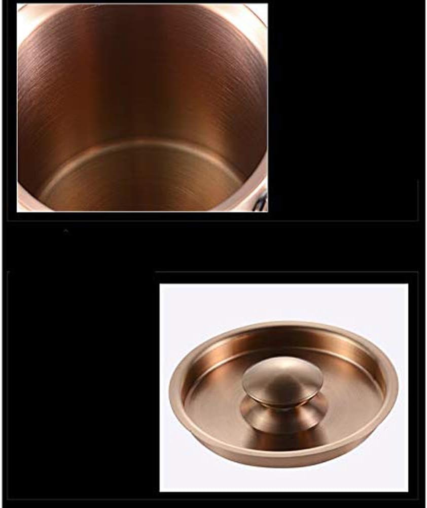 Ice Bucket Insulated Stainless Steel Double Wall Ice Bucket with Lid with Stainless Steel Ice Tong Much Bigger Capacity Wine Cooler -2L