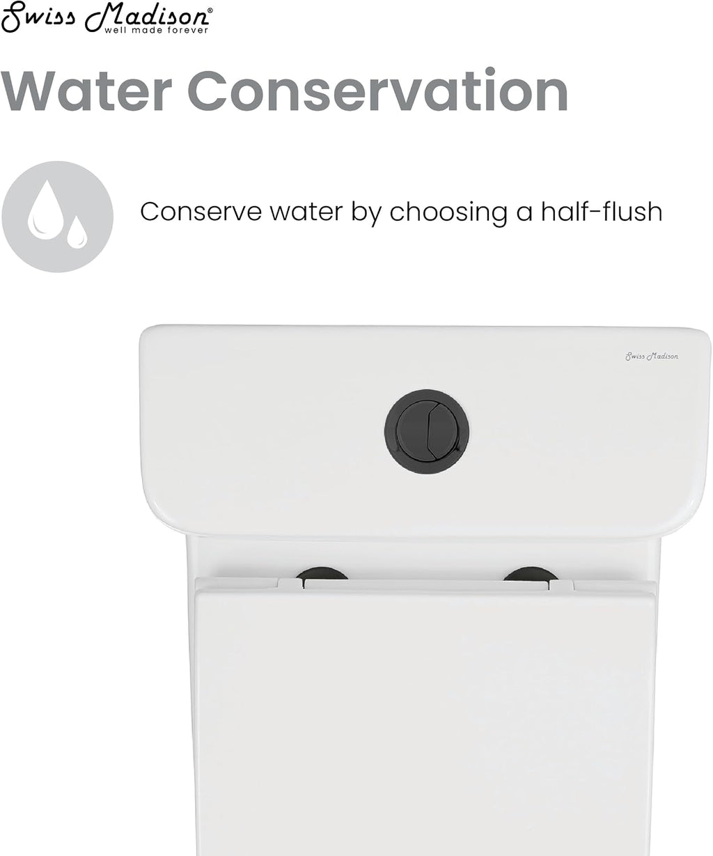 Carre One Piece Square Toilet Dual Flush, Black Hardware