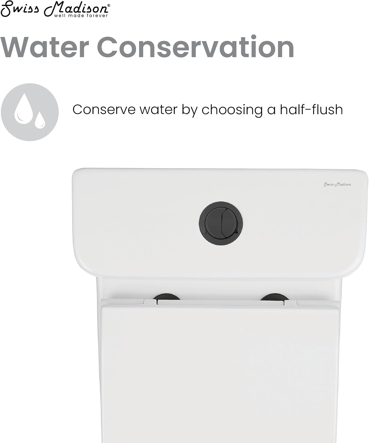 Carre One Piece Square Toilet Dual Flush, Black Hardware