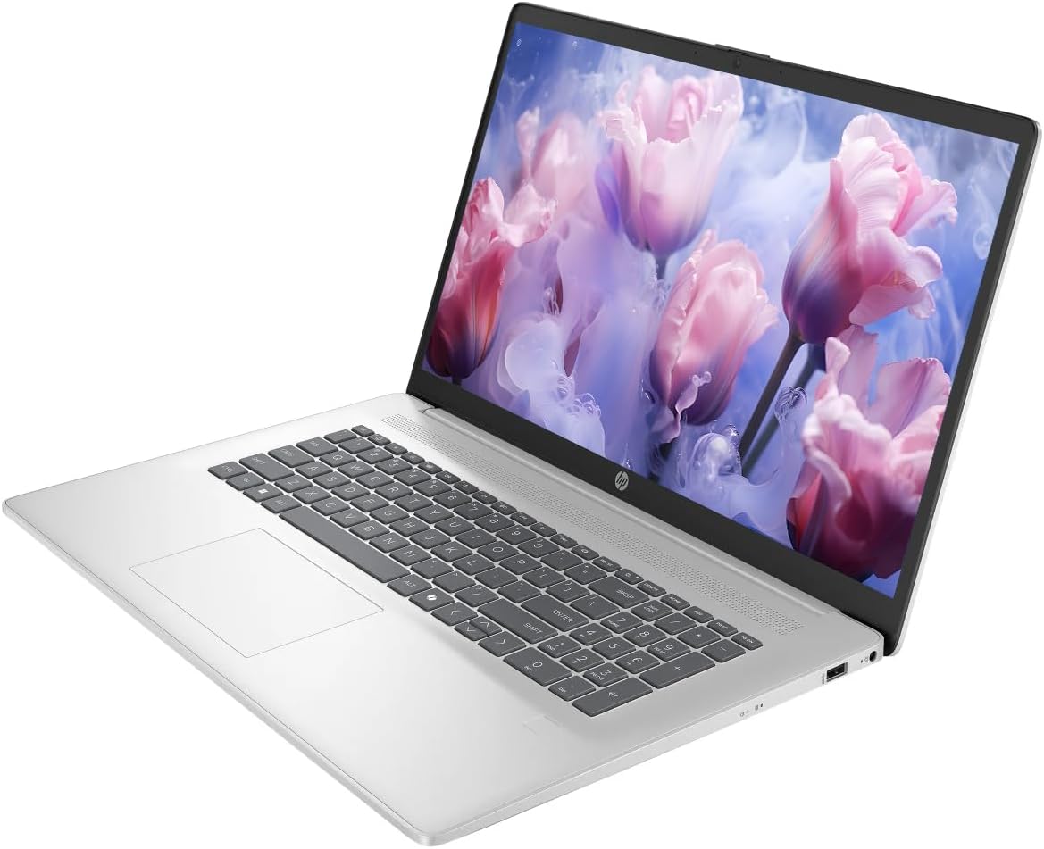 HP Touchscreen 17.3' Business Laptop Computer, Windows 11 Laptop 16GB RAM 512GB SSD, AMD Ryzen 5 7430U (6-Core) Processor, Numeric Keypad, Camera Privacy Shutter, HDMI, NLY Earphones, Silver
