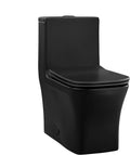 Concorde One Piece Square Toilet Dual Flush in Matte Black, Black Hardware 1.1/1.6 gpf