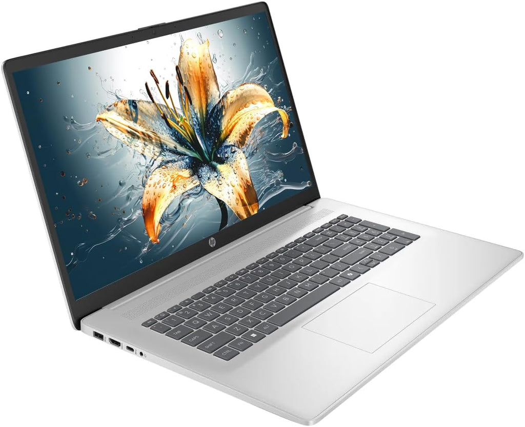 HP 17 Laptop, 17.3' HD+ LED Anti-Glare Touchscreen Business Laptop Computer, Windows 11 Laptop 16GB RAM 512GB SSD, AMD Ryzen 5 Processor, AMD Radeon Graphics, Numeric Keypad, NLY Earphones, Silver
