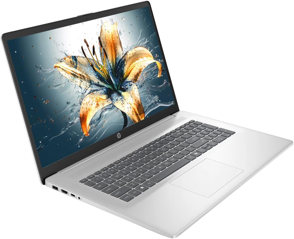 HP 17 Laptop, 17.3' HD+ LED Anti-Glare Touchscreen Business Laptop Computer, Windows 11 Laptop 16GB RAM 512GB SSD, AMD Ryzen 5 Processor, AMD Radeon Graphics, Numeric Keypad, NLY Earphones, Silver