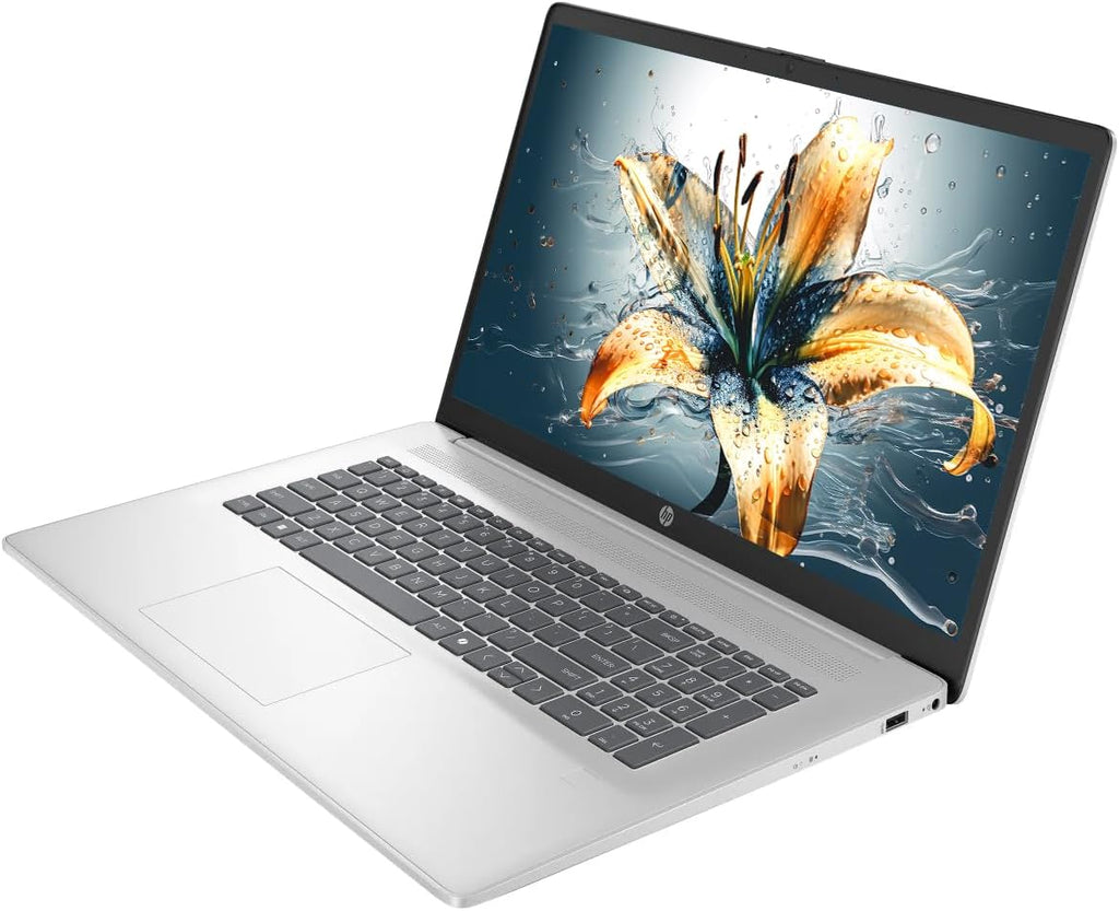HP 17 Laptop, 17.3' HD+ LED Anti-Glare Touchscreen Business Laptop Computer, Windows 11 Laptop 16GB RAM 512GB SSD, AMD Ryzen 5 Processor, AMD Radeon Graphics, Numeric Keypad, NLY Earphones, Silver