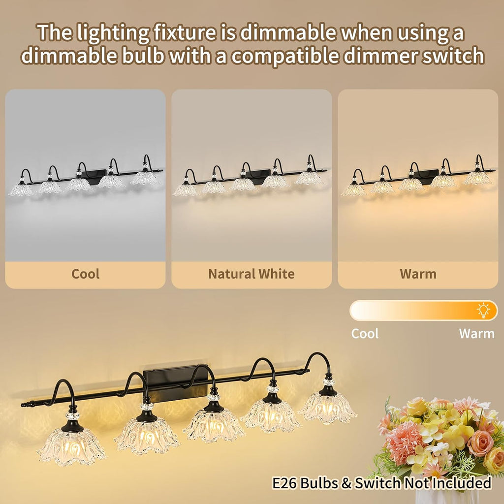 Black Bathroom Vanity Light, 5-Light Vanity Light with Crystal Glass Shades, Vintage Farmhouse Vanity Lighting for Bathroom and Dressing Table